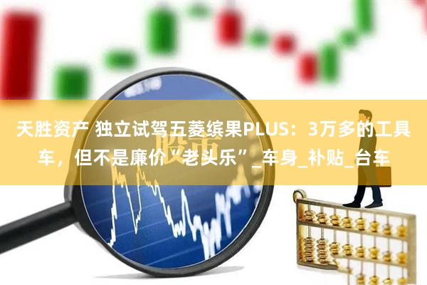 天胜资产 独立试驾五菱缤果PLUS：3万多的工具车，但不是廉价“老头乐”_车身_补贴_台车