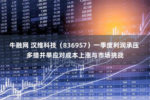 牛融网 汉维科技（836957）一季度利润承压 多措并举应对成本上涨与市场挑战